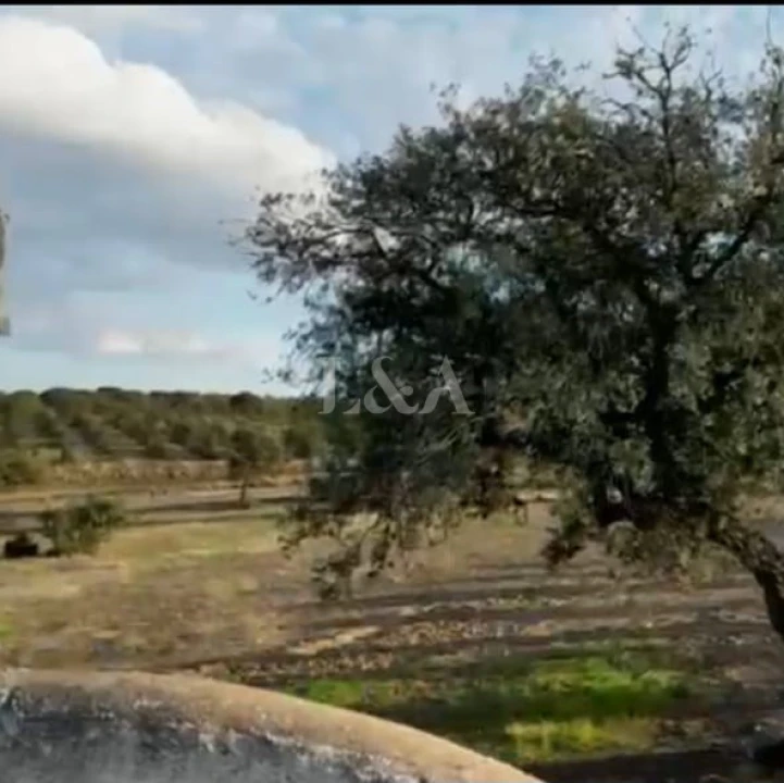 Quinta para Venda em Rosario Foto 4