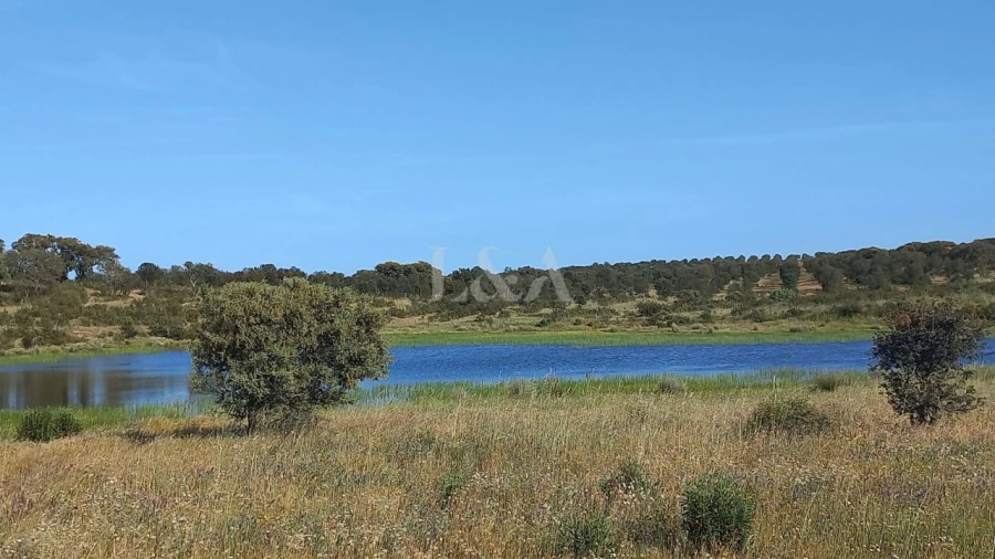 Quinta para Venda em Rosario Foto 2