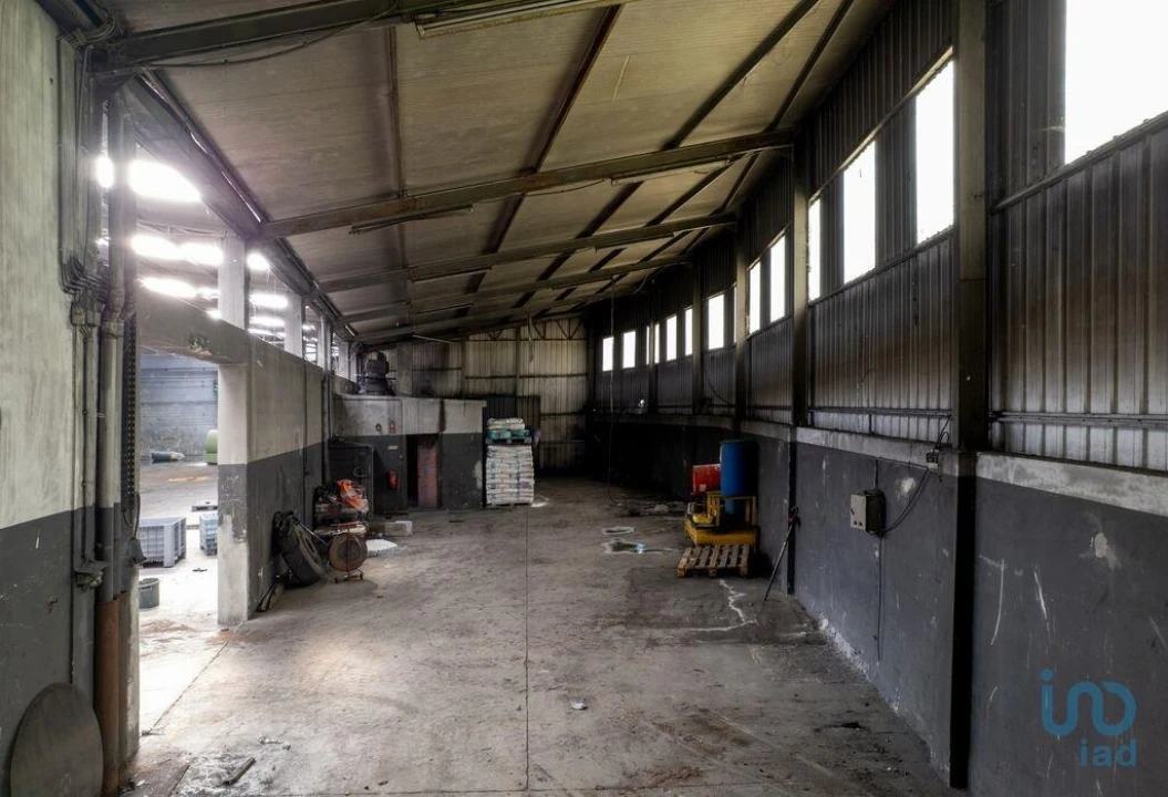 Armazém para Arrendamento em Nogueira do Cravo e Pindelo Foto 7