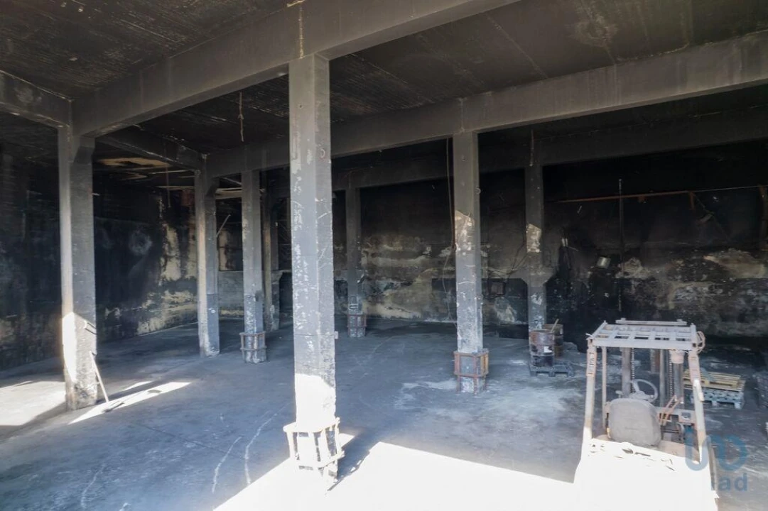 Armazém para Arrendamento em Nogueira do Cravo e Pindelo Foto 10