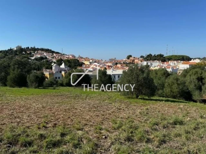 Terreno para Venda em Santiago do Cacém, Santa Cruz e São Bartolomeu da Serra Foto 5
