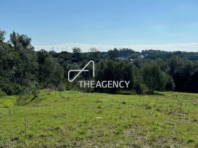 Terreno para Venda em Santiago do Cacém, Santa Cruz e São Bartolomeu da Serra Foto 15