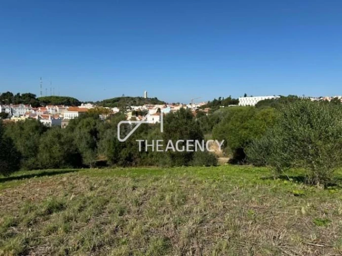 Terreno para Venda em Santiago do Cacém, Santa Cruz e São Bartolomeu da Serra Foto 6