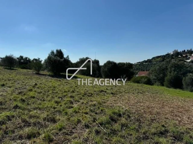 Terreno para Venda em Santiago do Cacém, Santa Cruz e São Bartolomeu da Serra Foto 7