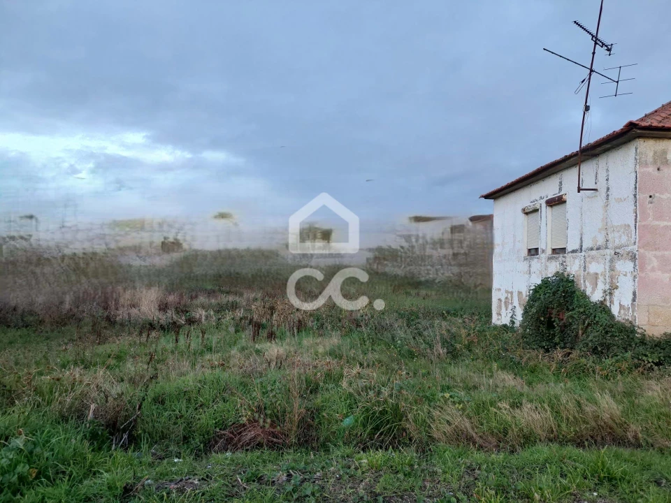 Apartamento T3 para Venda em Madalena e Samaiões Foto 6