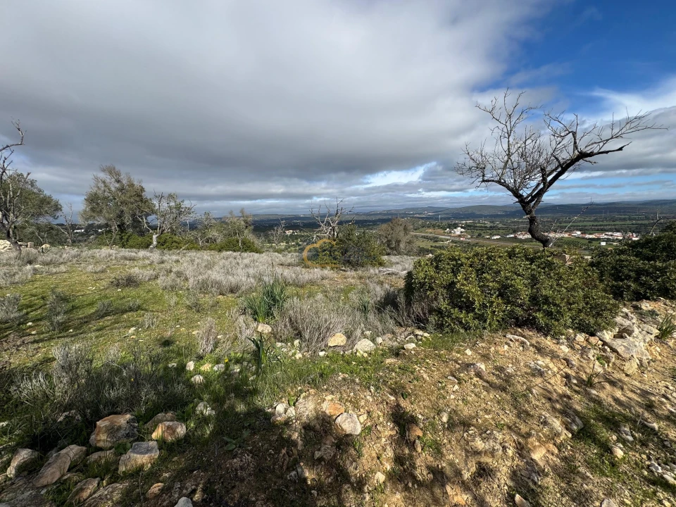Terreno Agricola ou Rústico para Venda em Paderne Foto 3