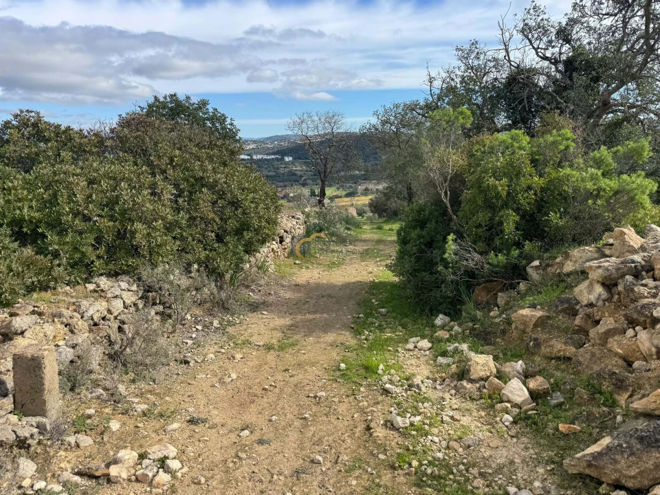 Terreno Agricola ou Rústico para Venda em Paderne Foto 8