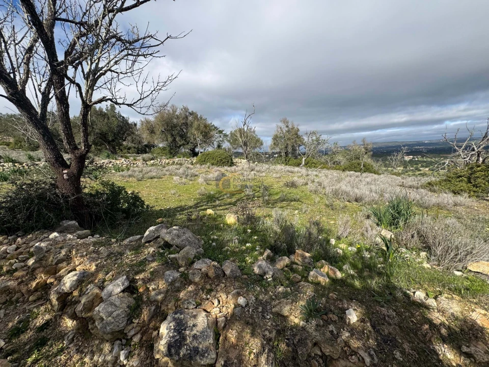 Terreno Agricola ou Rústico para Venda em Paderne Foto 2