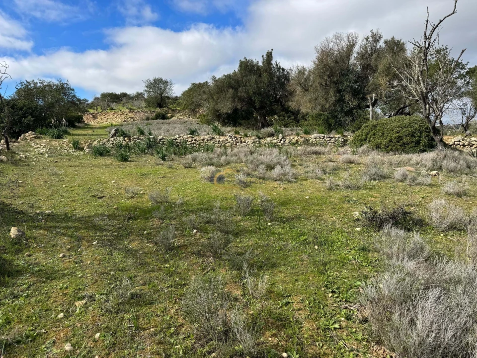 Terreno Agricola ou Rústico para Venda em Paderne Foto 5
