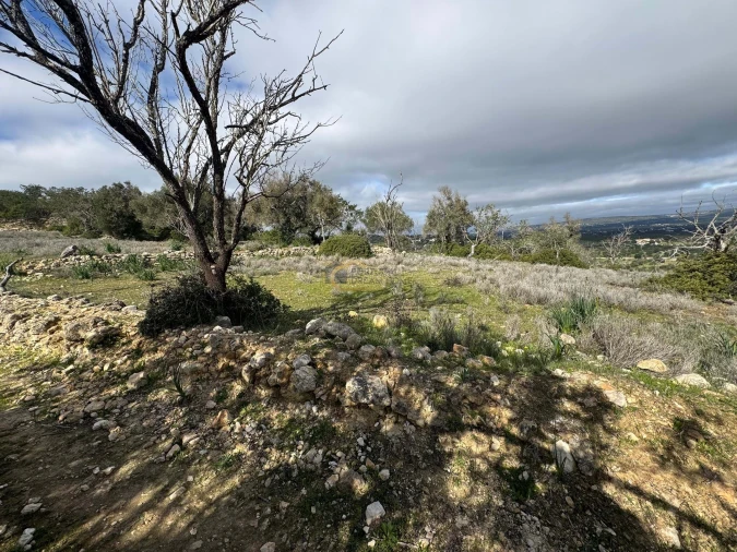 Terreno Agricola ou Rústico para Venda em Paderne Foto 10
