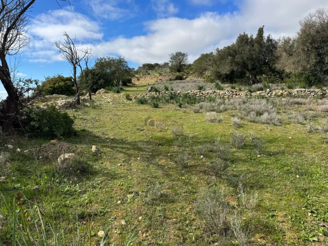 Terreno Agricola ou Rústico para Venda em Paderne Foto 6