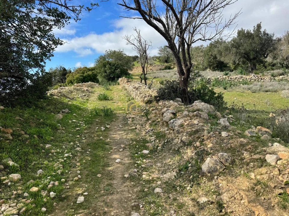 Terreno Agricola ou Rústico para Venda em Paderne Foto 7