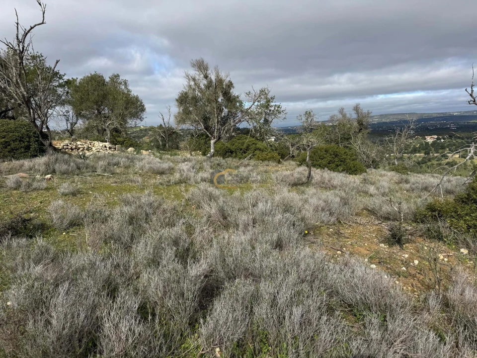 Terreno Agricola ou Rústico para Venda em Paderne Foto 4