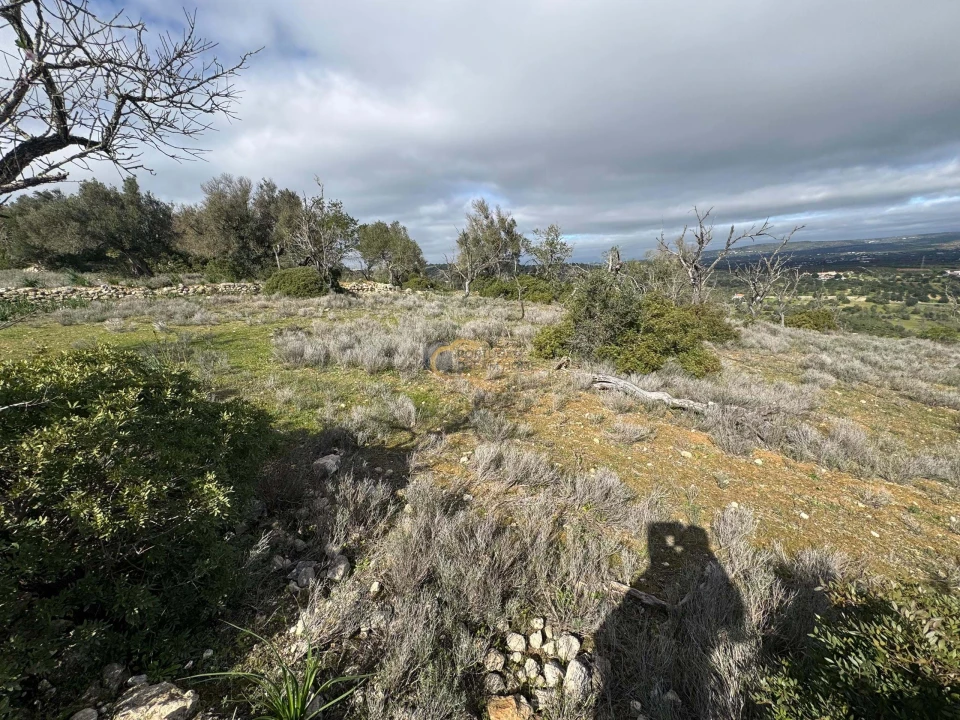Terreno Agricola ou Rústico para Venda em Paderne Foto 1