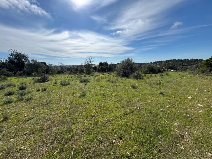 Terreno Agricola ou Rústico para Venda em Paderne Foto 4