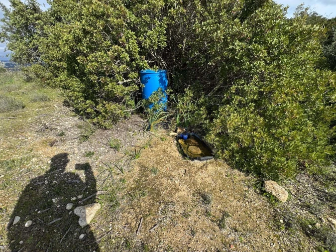 Terreno Agricola ou Rústico para Venda em Paderne Foto 7