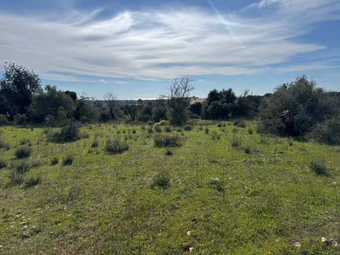 Terreno Agricola ou Rústico para Venda em Paderne Foto 2