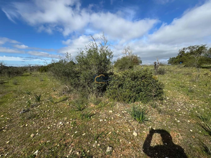 Terreno Agricola ou Rústico para Venda em Paderne Foto 1