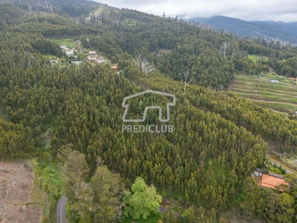 Terreno para Venda em Estreito da Calheta Foto 10