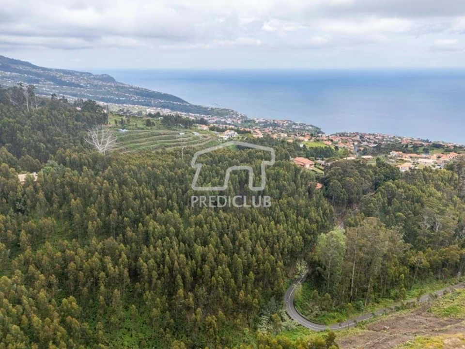 Terreno para Venda em Estreito da Calheta Foto 13