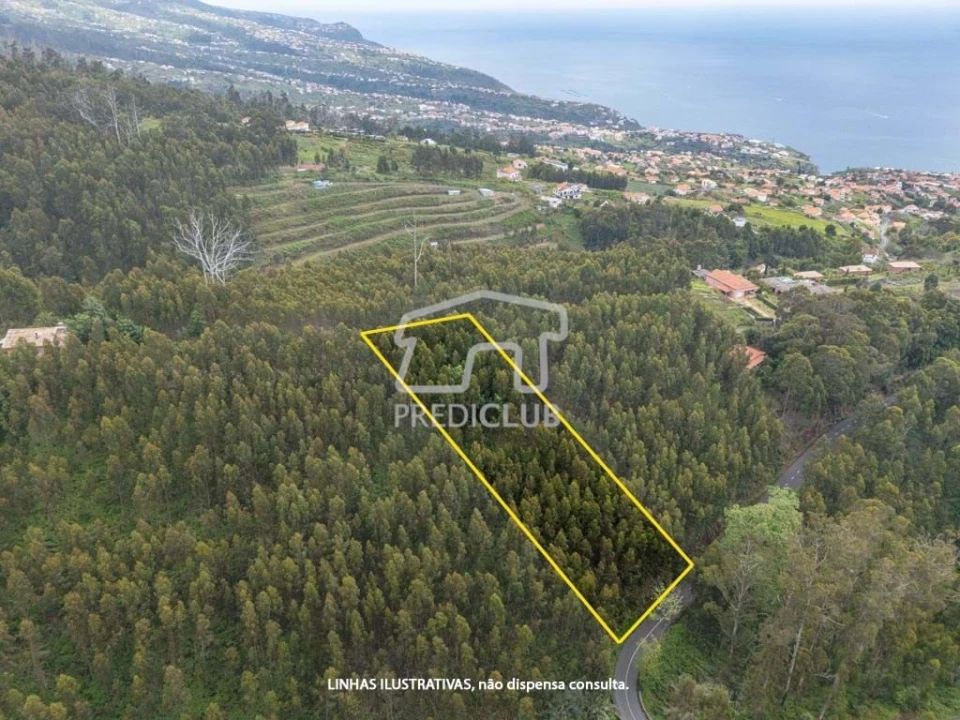 Terreno para Venda em Estreito da Calheta Foto 6