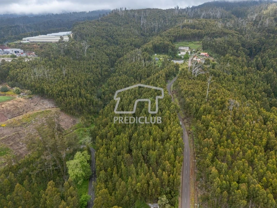 Terreno para Venda em Estreito da Calheta Foto 11