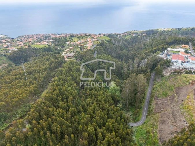 Terreno para Venda em Estreito da Calheta Foto 7