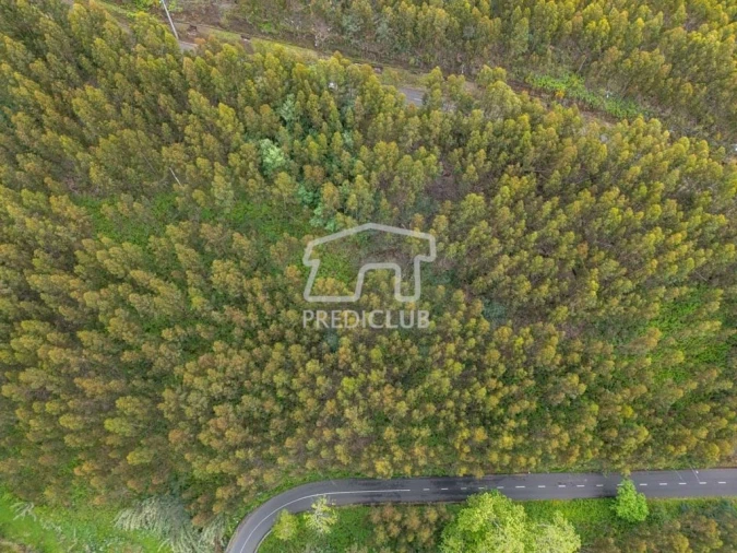 Terreno para Venda em Estreito da Calheta Foto 4