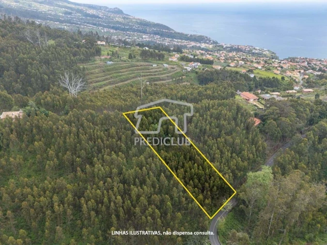 Terreno para Venda em Estreito da Calheta Foto 6