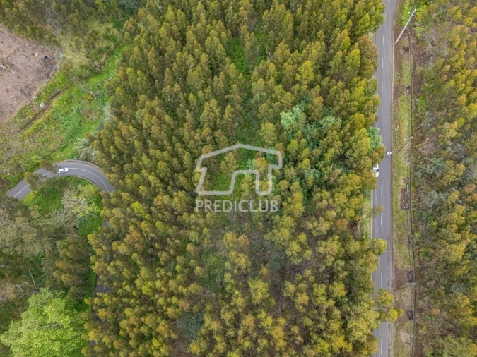 Terreno para Venda em Estreito da Calheta Foto 2