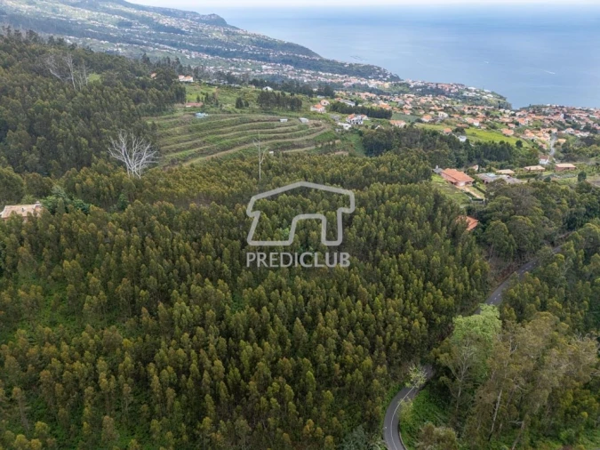 Terreno para Venda em Estreito da Calheta Foto 5