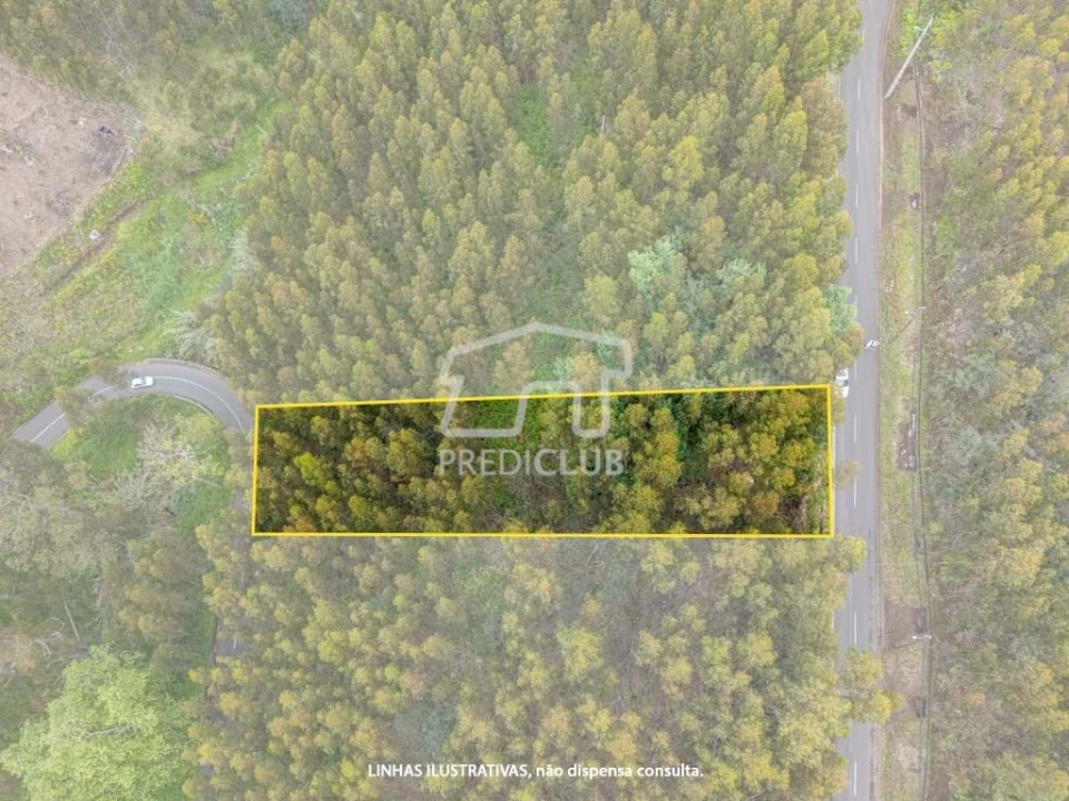 Terreno para Venda em Estreito da Calheta Foto 3