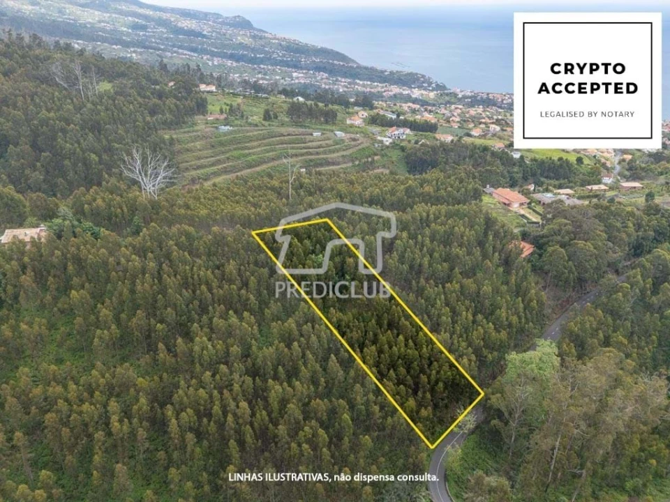 Terreno para Venda em Estreito da Calheta Foto 1