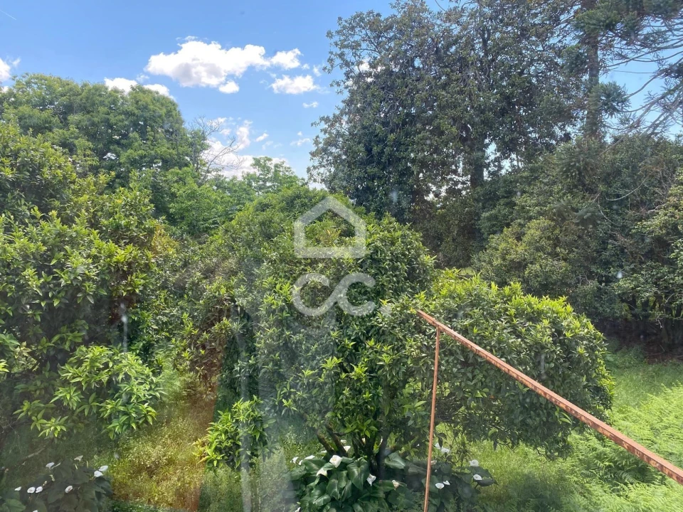 Quinta T7 para Venda em Santa Marta de Portuzelo Foto 45