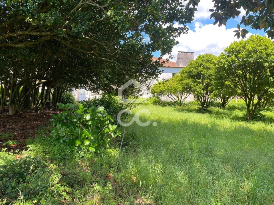 Quinta T7 para Venda em Santa Marta de Portuzelo Foto 14