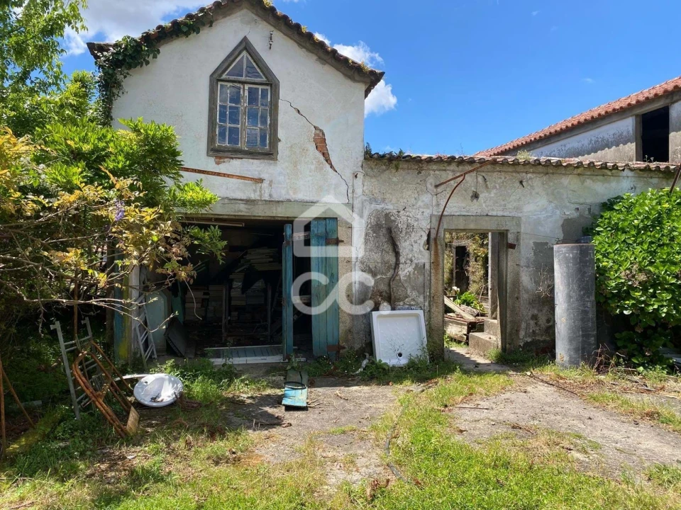 Quinta T7 para Venda em Santa Marta de Portuzelo Foto 49