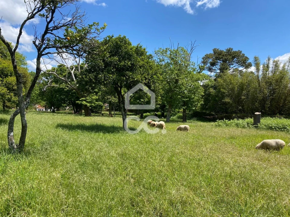 Quinta T7 para Venda em Santa Marta de Portuzelo Foto 43