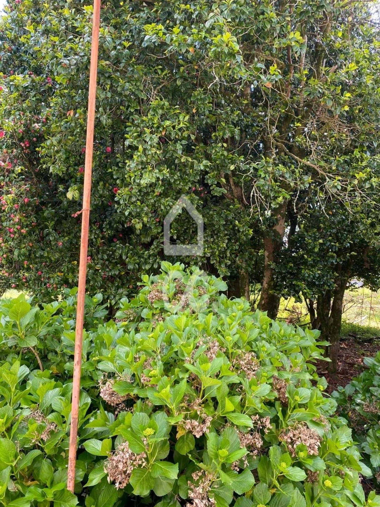 Quinta T7 para Venda em Santa Marta de Portuzelo Foto 11