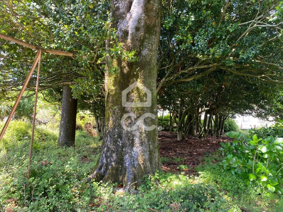 Quinta T7 para Venda em Santa Marta de Portuzelo Foto 51