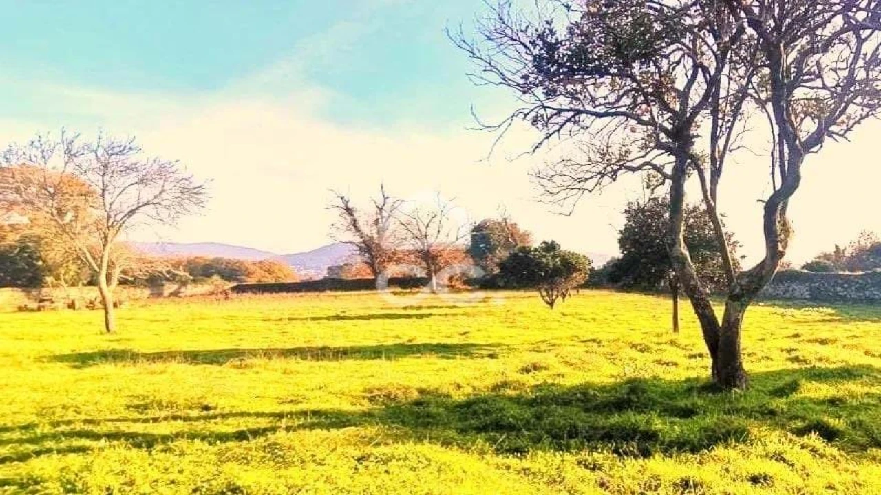 Quinta T7 para Venda em Santa Marta de Portuzelo Foto 4