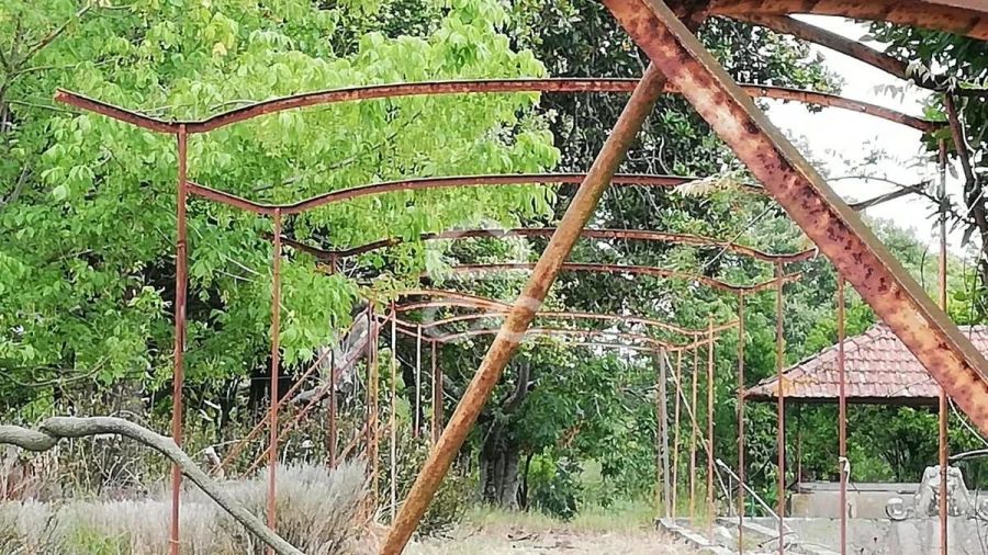 Quinta T7 para Venda em Santa Marta de Portuzelo Foto 2