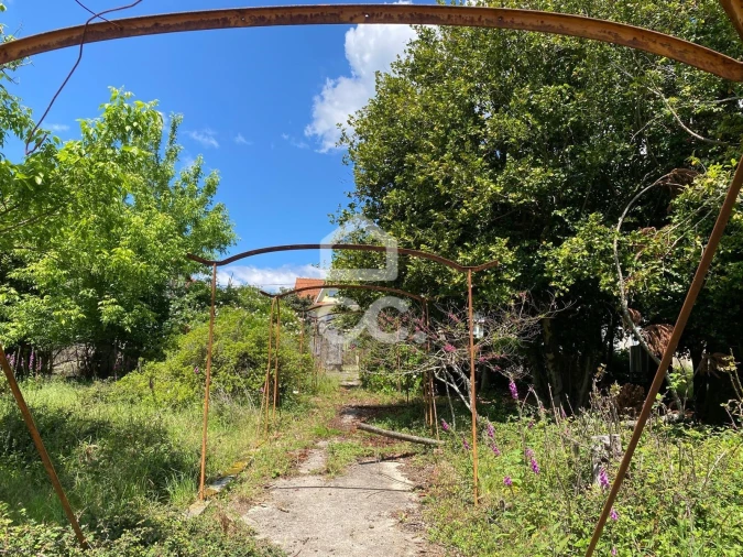 Quinta T7 para Venda em Santa Marta de Portuzelo Foto 16