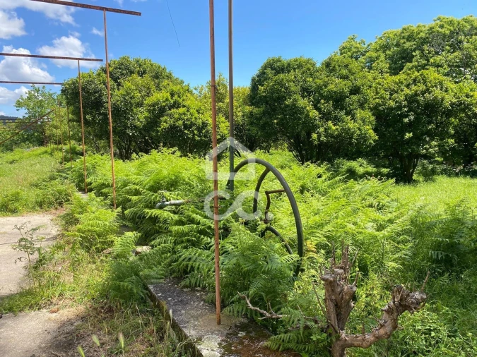 Quinta T7 para Venda em Santa Marta de Portuzelo Foto 12