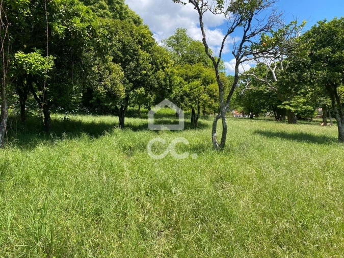 Quinta T7 para Venda em Santa Marta de Portuzelo Foto 46