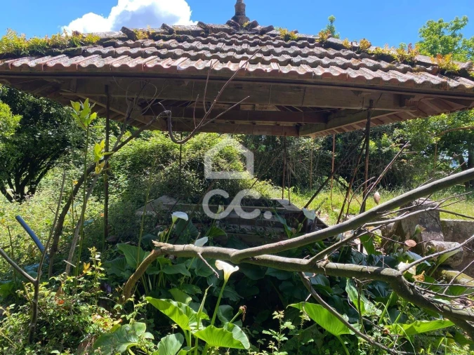 Quinta T7 para Venda em Santa Marta de Portuzelo Foto 19