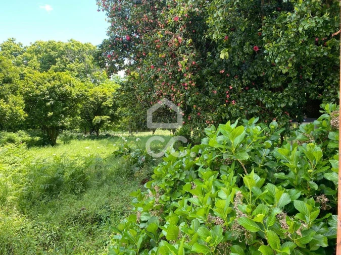 Quinta T7 para Venda em Santa Marta de Portuzelo Foto 32