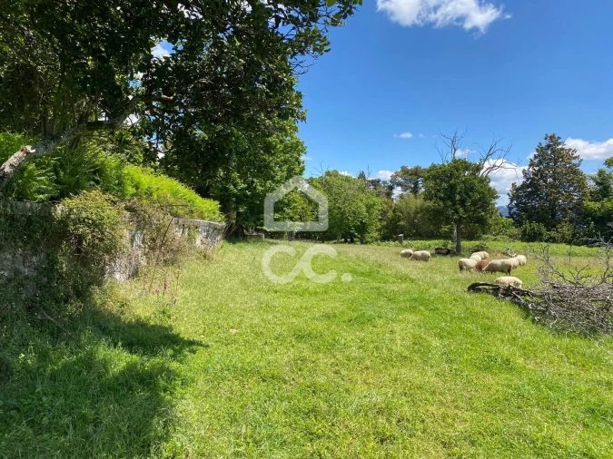 Quinta T7 para Venda em Santa Marta de Portuzelo Foto 39