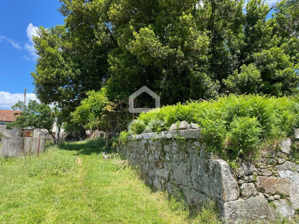 Quinta T7 para Venda em Santa Marta de Portuzelo Foto 30