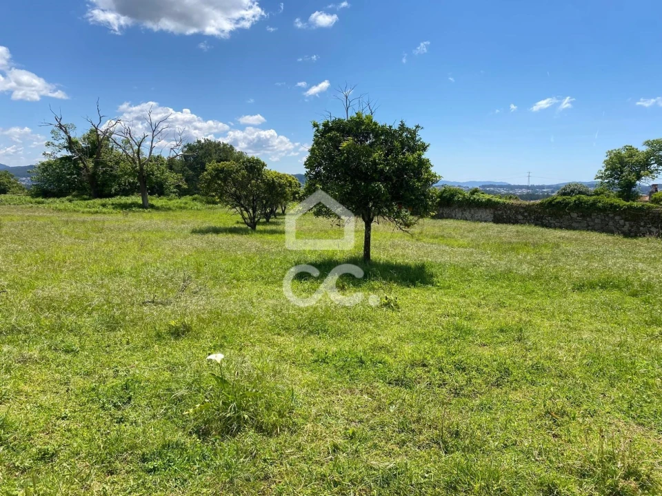 Quinta T7 para Venda em Santa Marta de Portuzelo Foto 8