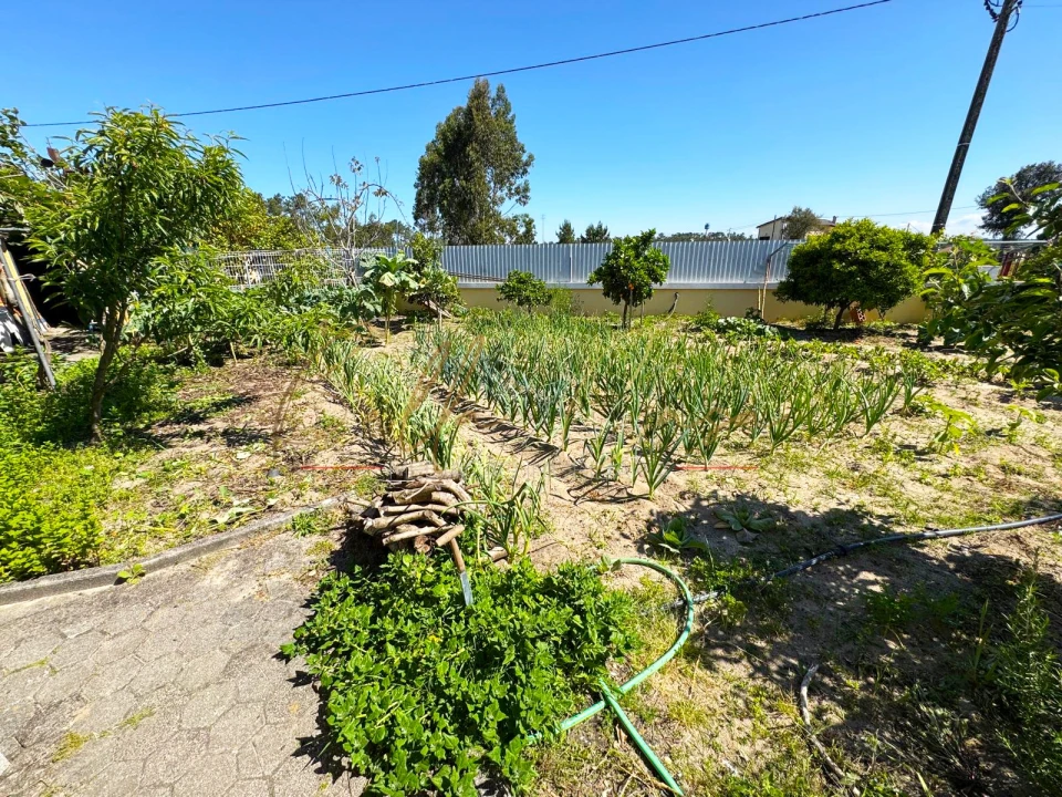 Moradia T4 para Venda em Santo Andre de Vagos Foto 20